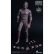 WorldBox 1/6 Durable body zombie